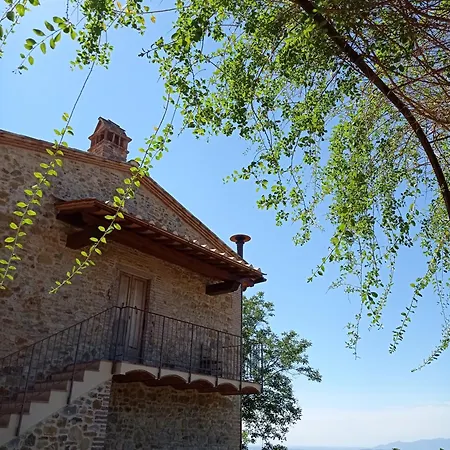 Le Di San Vivaldo *