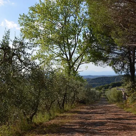 Agroturismo Le Di San Vivaldo