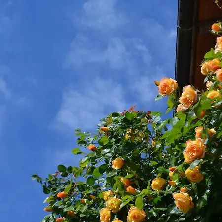 Farm stay Le Di San Vivaldo *